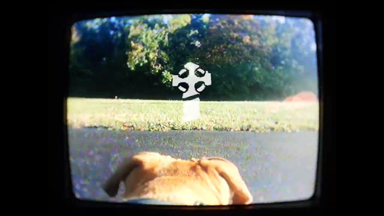 L'Rain - I Killed Your Dog (Official Visualizer)