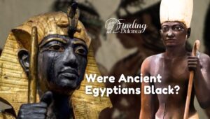 Were Ancient Egyptians Black?