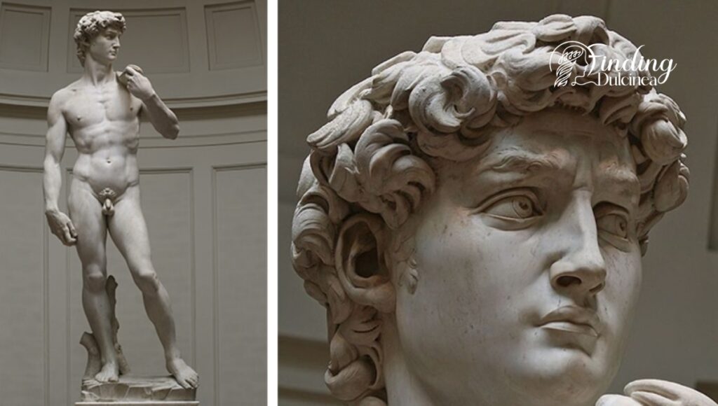 Analysing Michelangelo's David