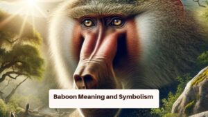 Baboon Meaning and Symbolism