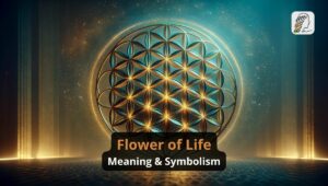 Flower of Life Meaning & Symbolism