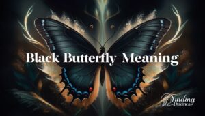 Black Butterfly Meaning