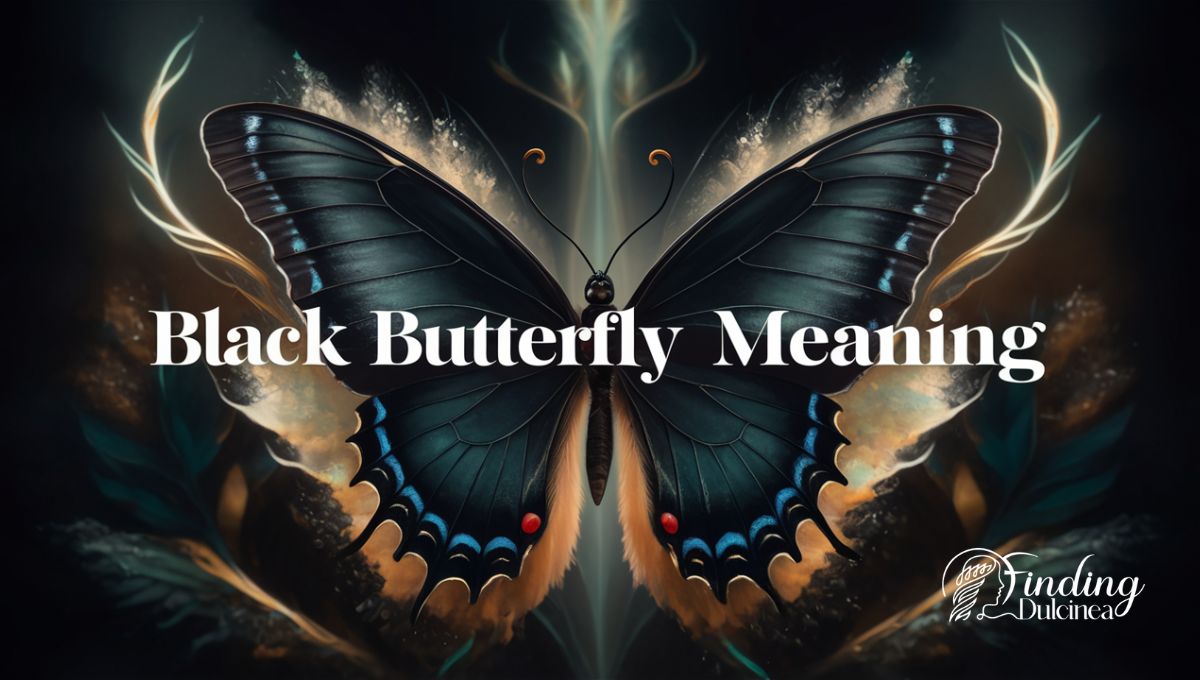 Black Butterfly Meaning