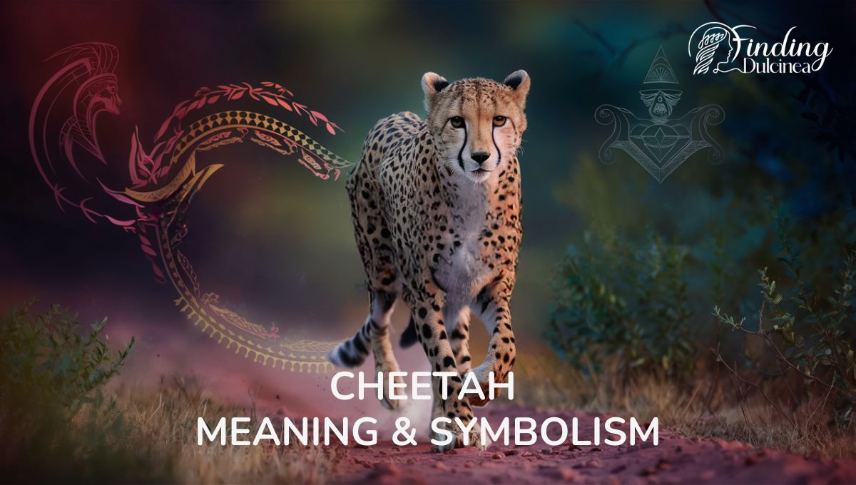 Here are Owl Meaning & Symbolism