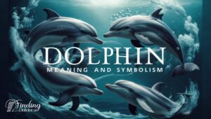 Dolphin Meaning and Symbolism