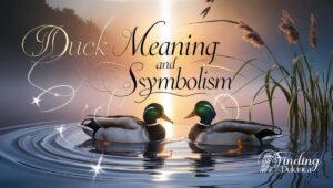 Duck Meaning and Symbolism