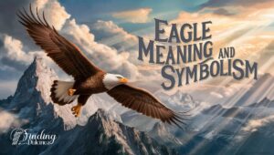 Eagle Meaning and Symbolism