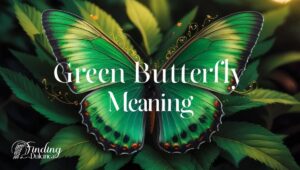 20 Green Butterfly Meaning