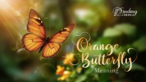 Orange Butterfly Meaning