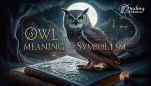 Owl Meaning & Symbolism