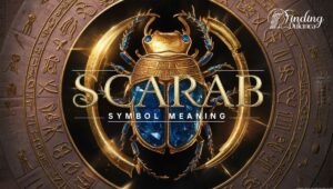 Scarab Symbol Meaning