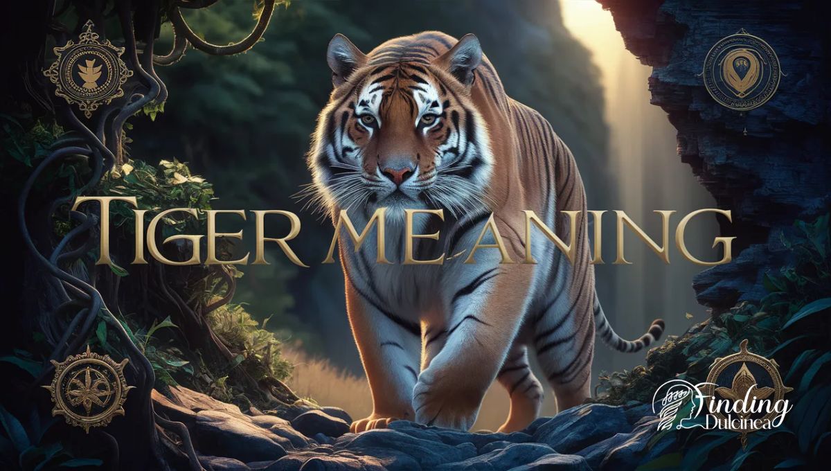 Tiger Meaning Explained