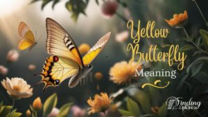 Yellow Butterfly Meaning Explained