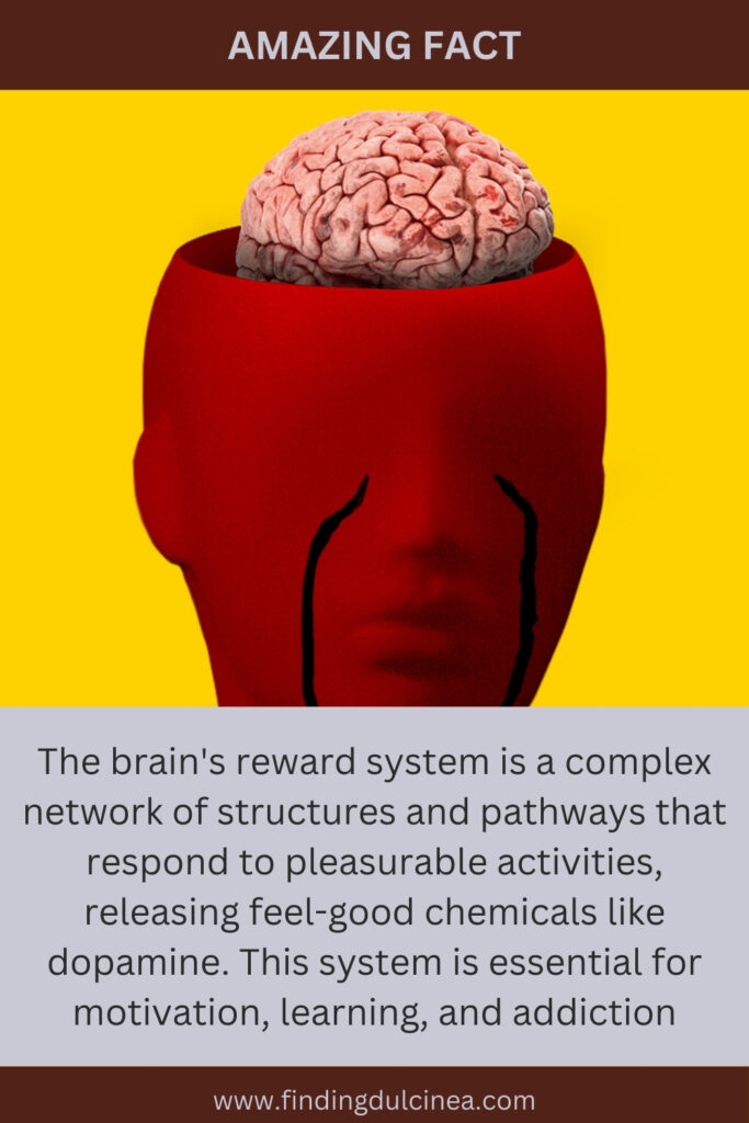 Brain facts