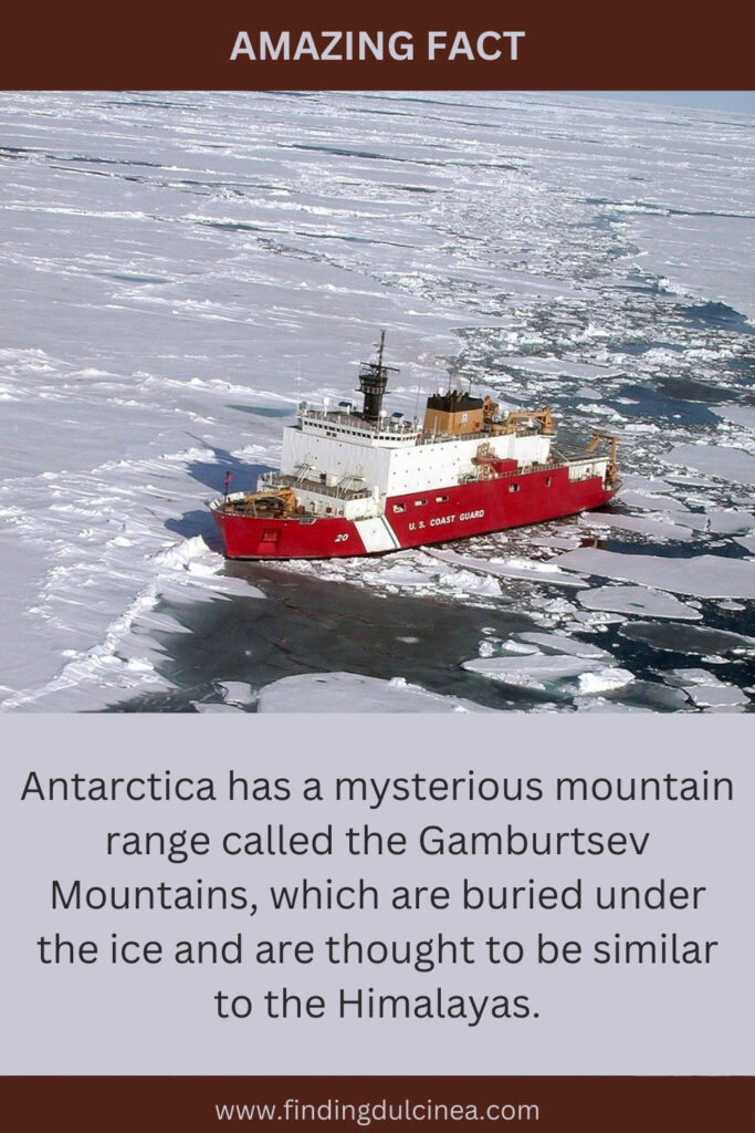 Antarctica Facts