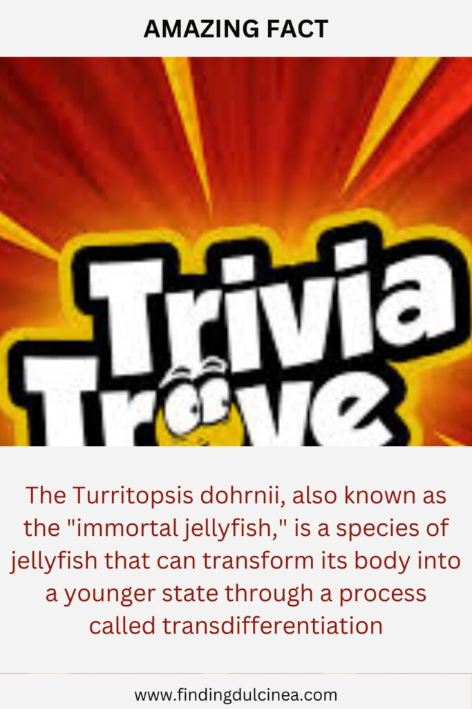 Trivia Trove facts