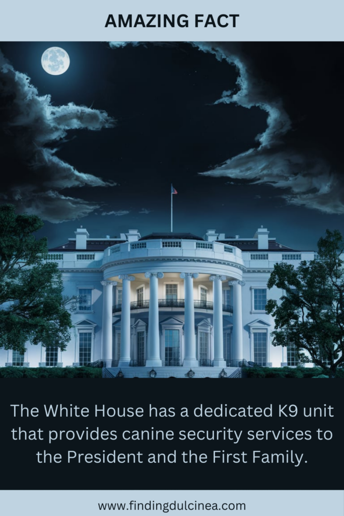 Facts About the White House