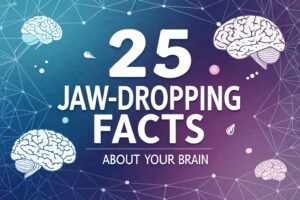 Brain Facts