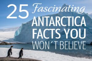 Antarctica Facts