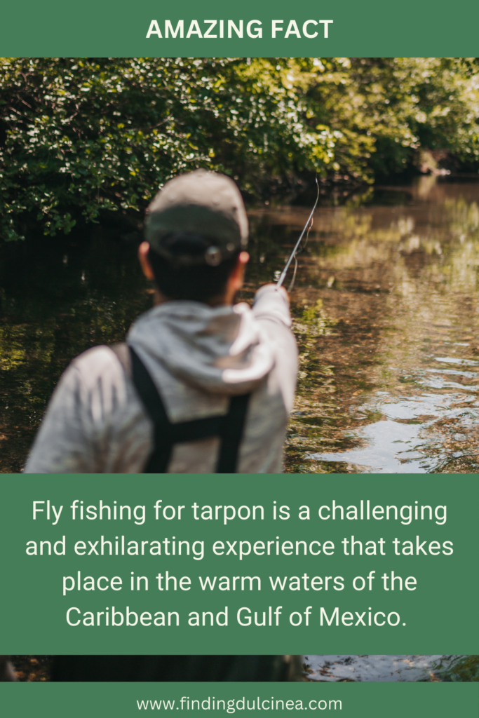 Fishing Facts