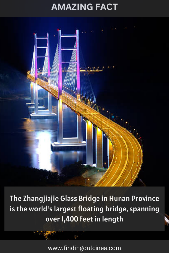 Quick Facts About China 