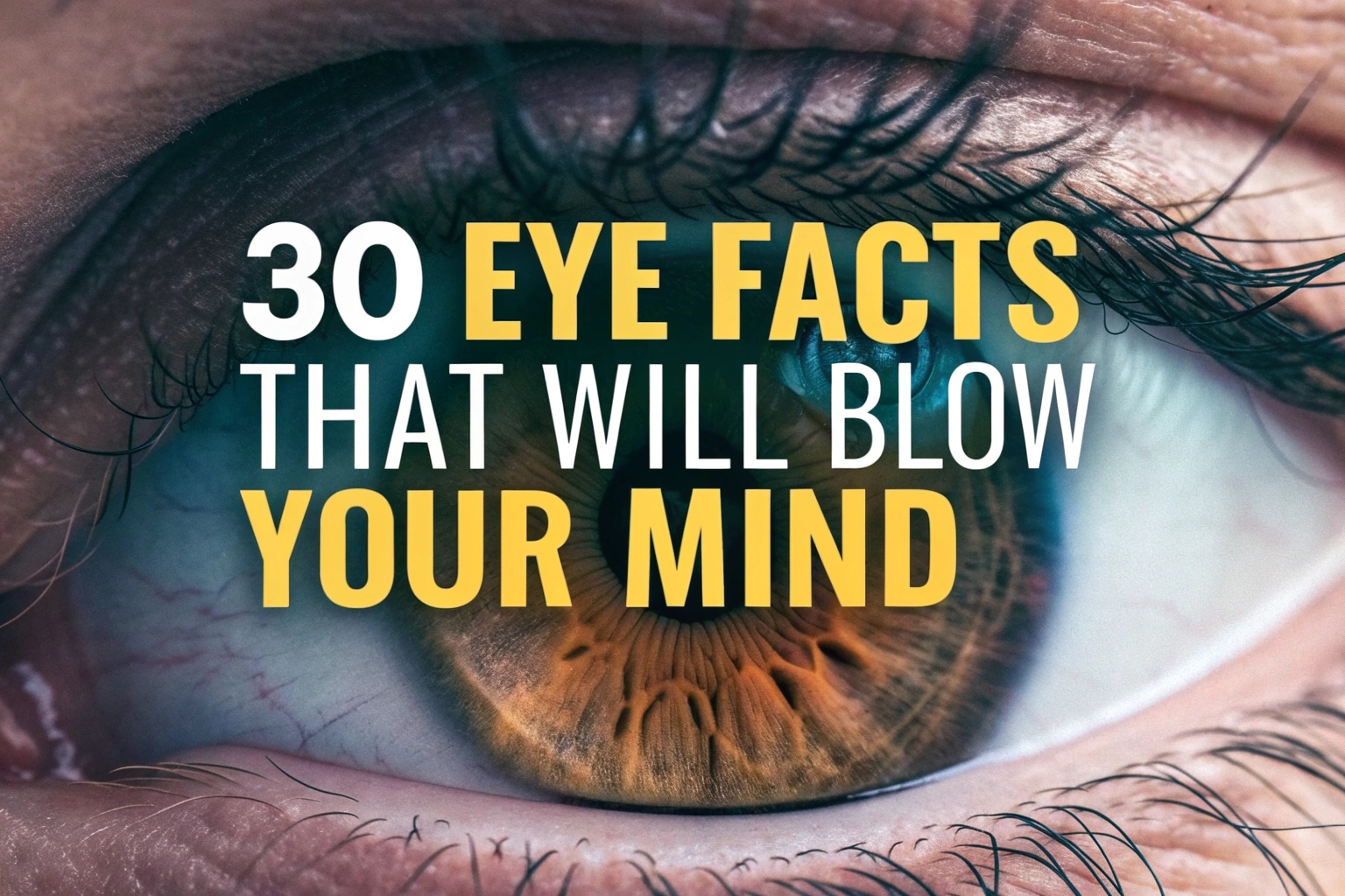 Eye Facts