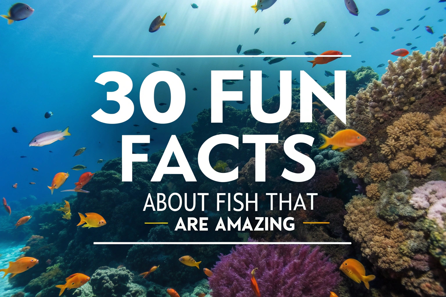 Fun Facts About Fish