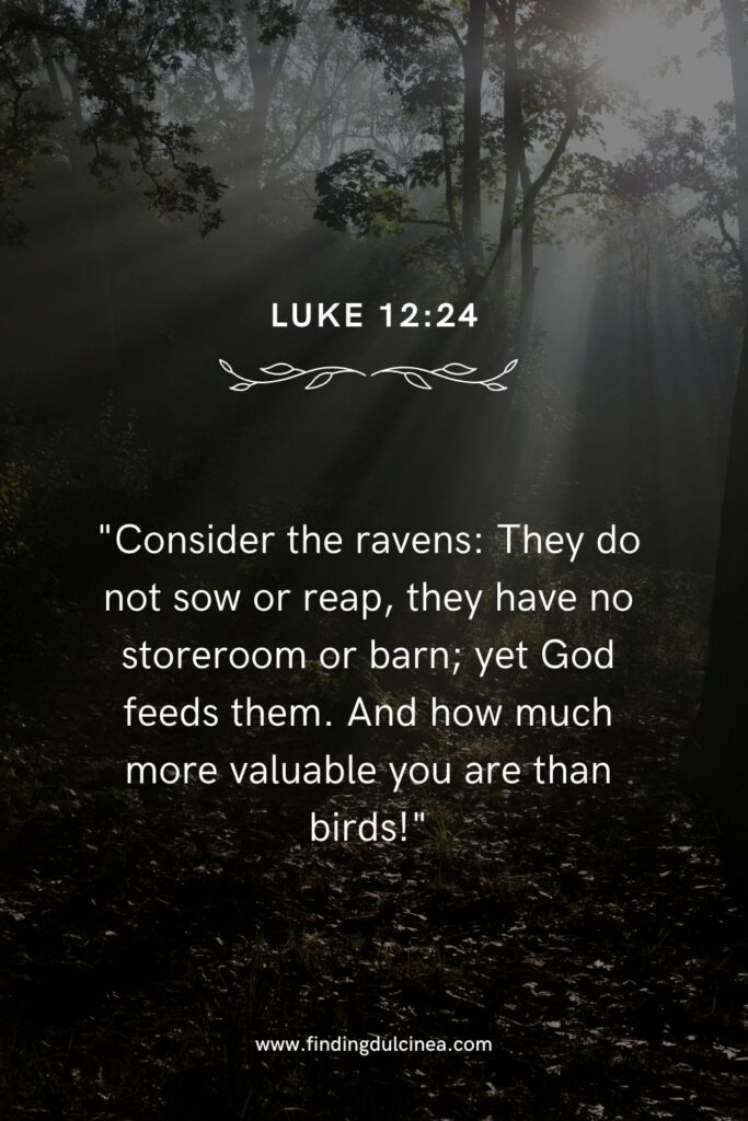 Bible Verses About God’s Provision