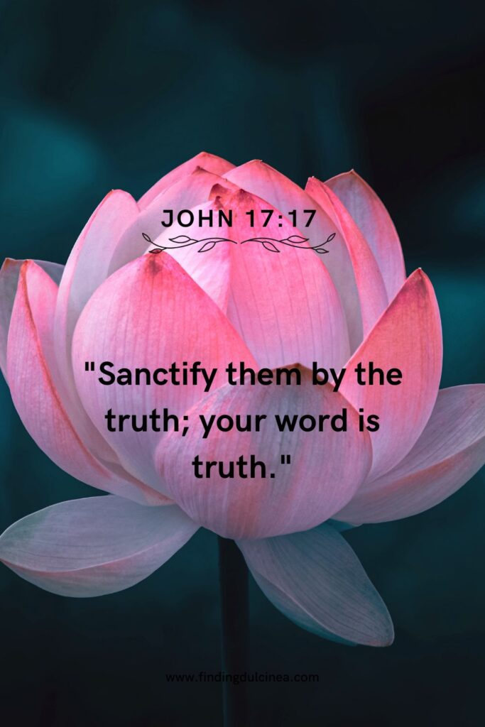 7+ Bible Verses About God’s Word: Unlock Its Power Today 2 Bible Verses About God’s Word