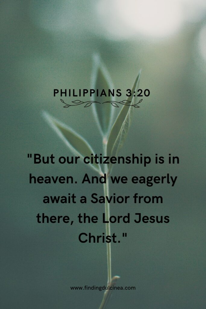 Bible Verses About Identity in Christ