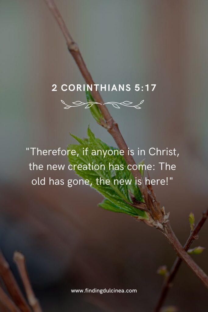 Bible Verses About New Beginnings