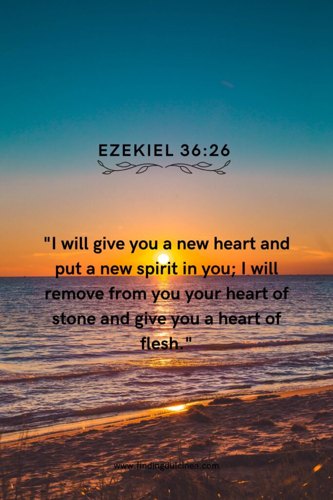 Bible Verses About New Beginnings