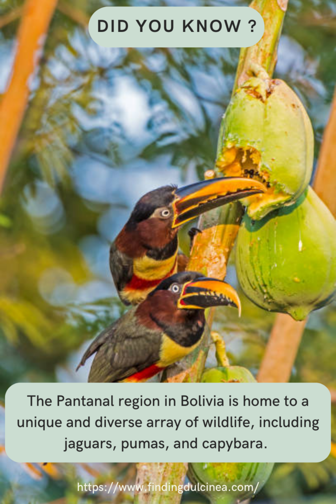 30+ Incredible Bolivia Facts That’ll Leave You Speechless 1 Bolivia Facts