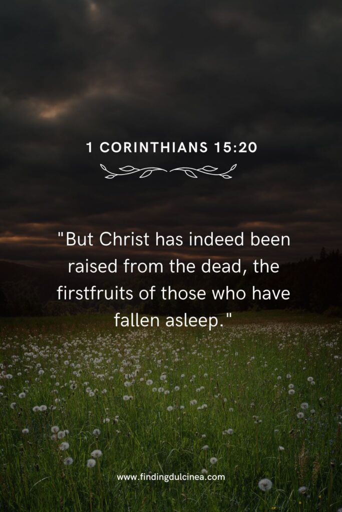 11+ Easter Sunday Bible Verses to Inspire Hope & Faith This Season 3 Easter Sunday Bible Verses