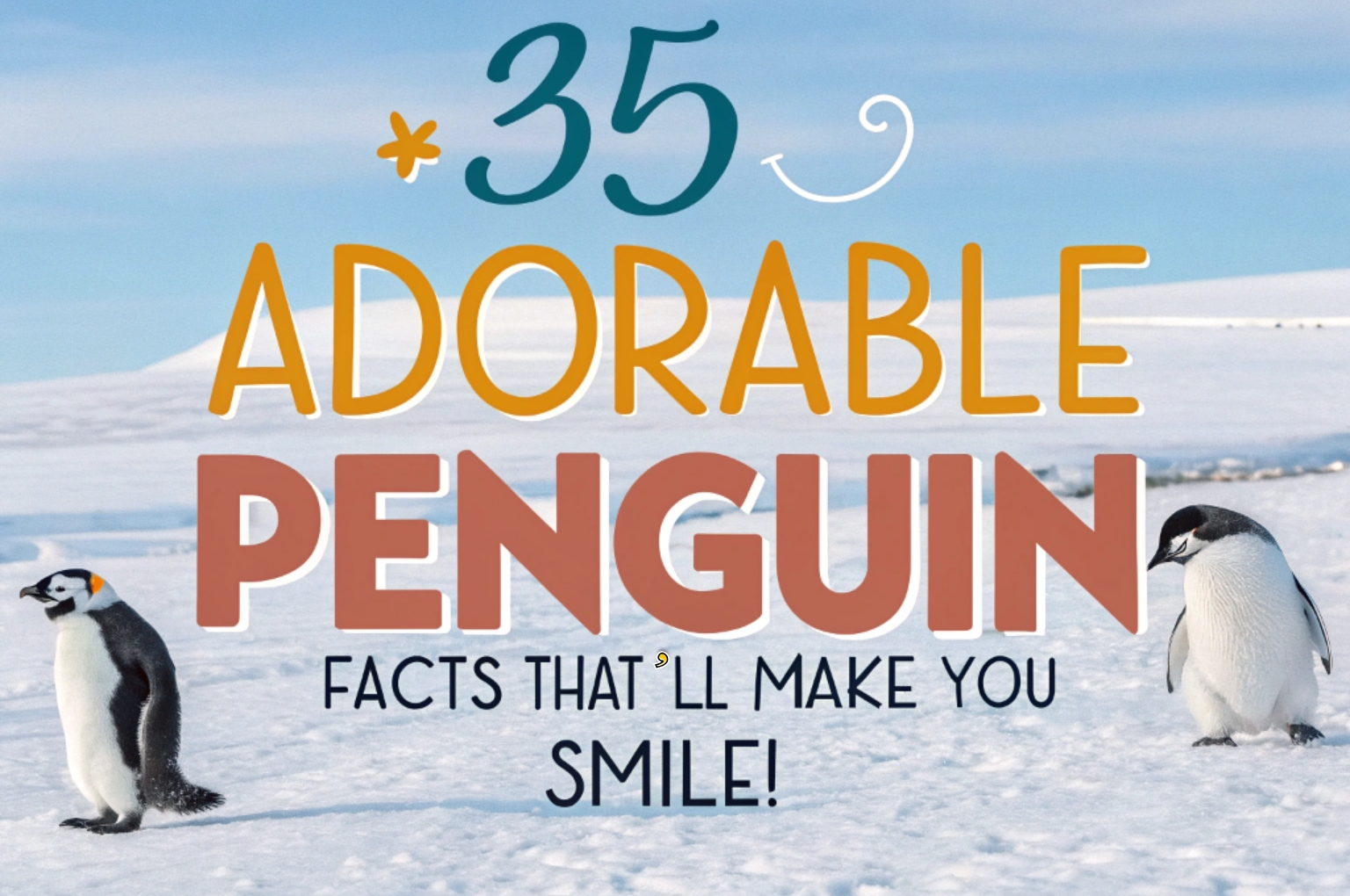 Penguin Facts