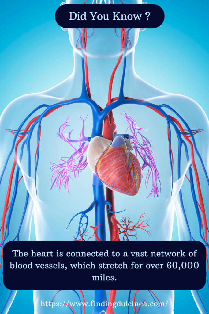 Heart Facts