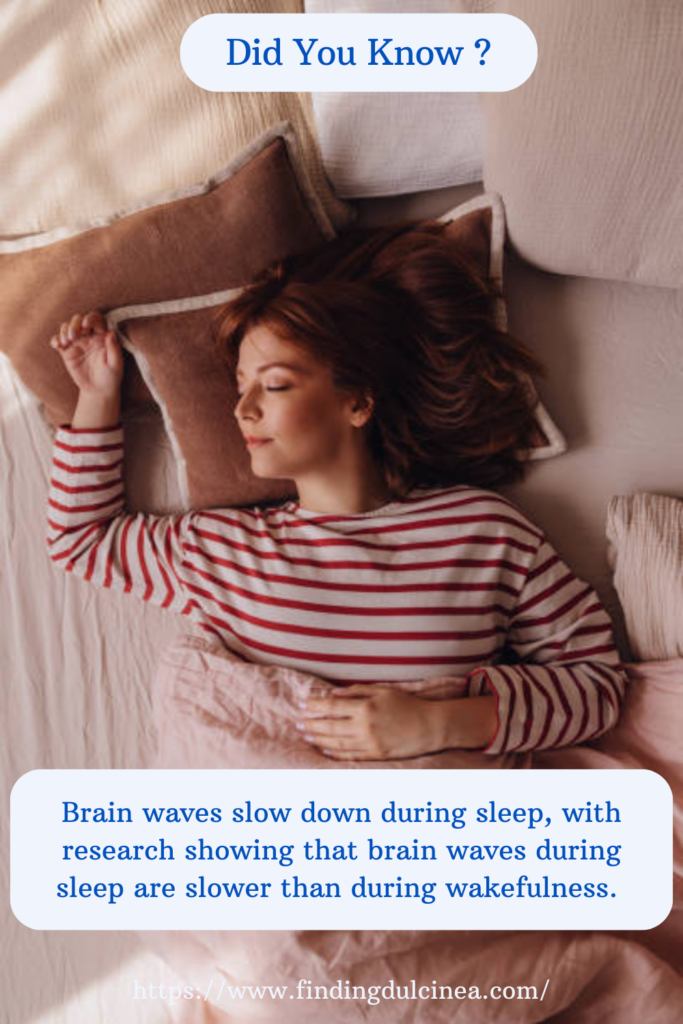 30 Sleep Facts You Need to Know for Better Rest 1 Sleep Facts