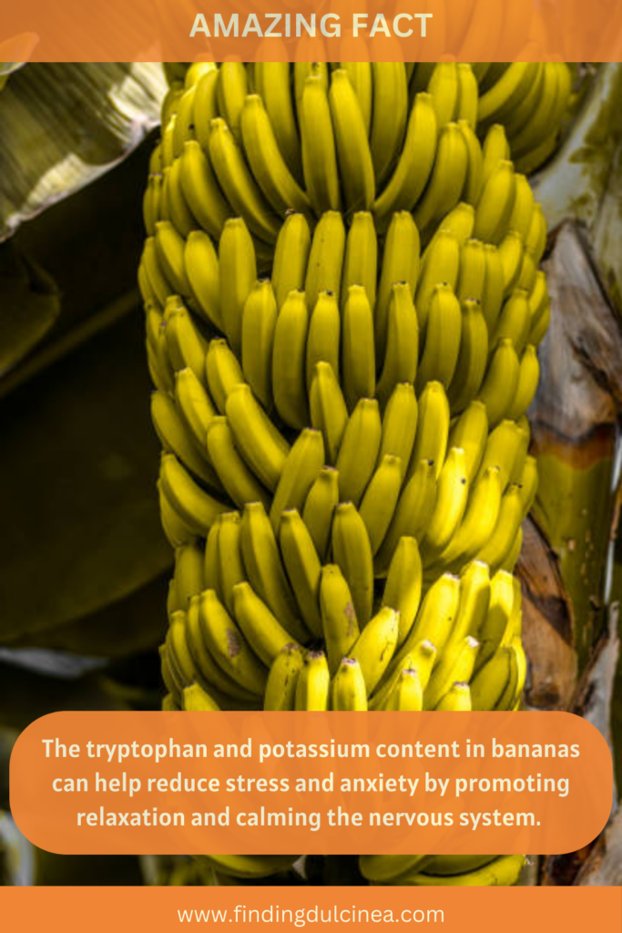 Facts About Bananas