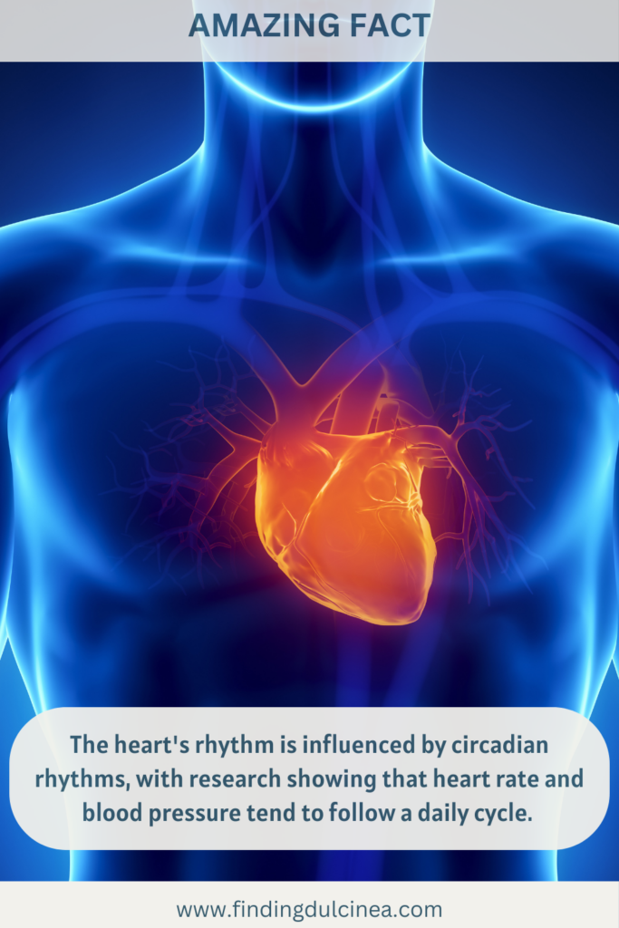 Heart Facts