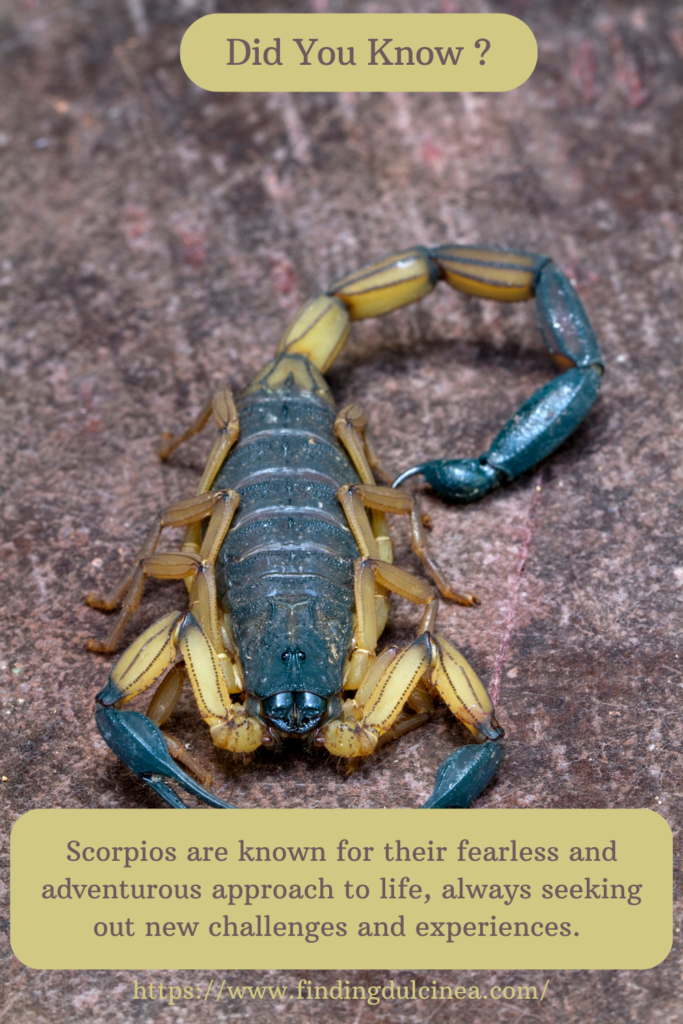 Scorpio Zodiac Facts