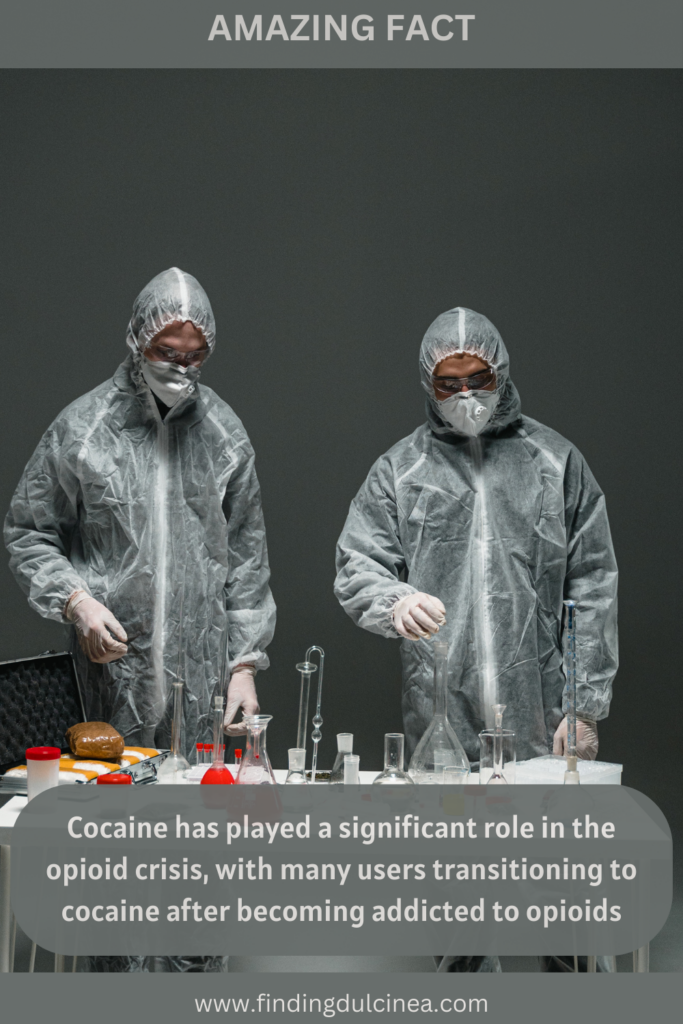 25 Shocking Cocaine Facts You Won’t Believe! 2 Shocking Cocaine Facts