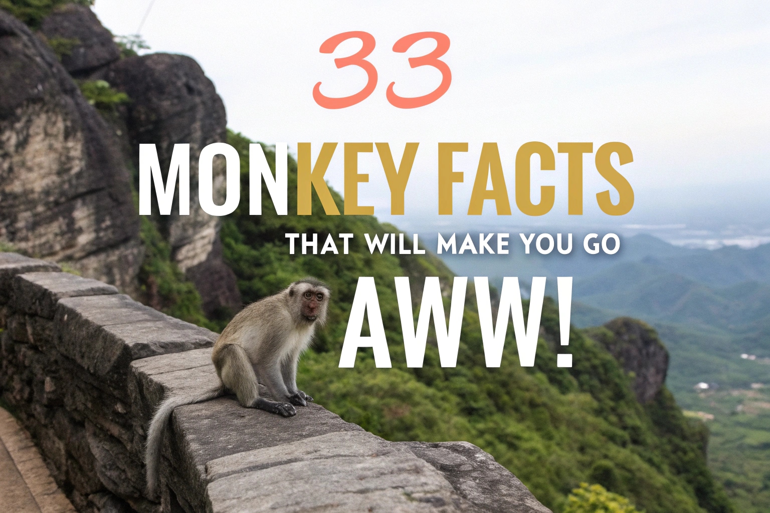 Monkey Facts