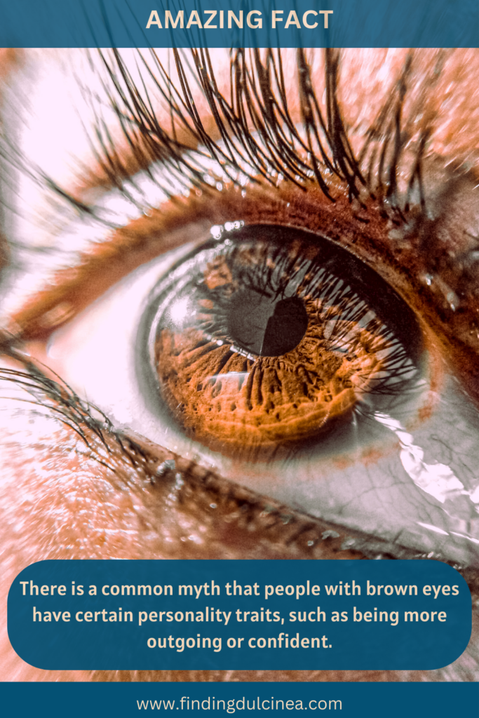20+ Brown Eye Facts That Will Change Your Perspective! 2 Brown Eye Facts