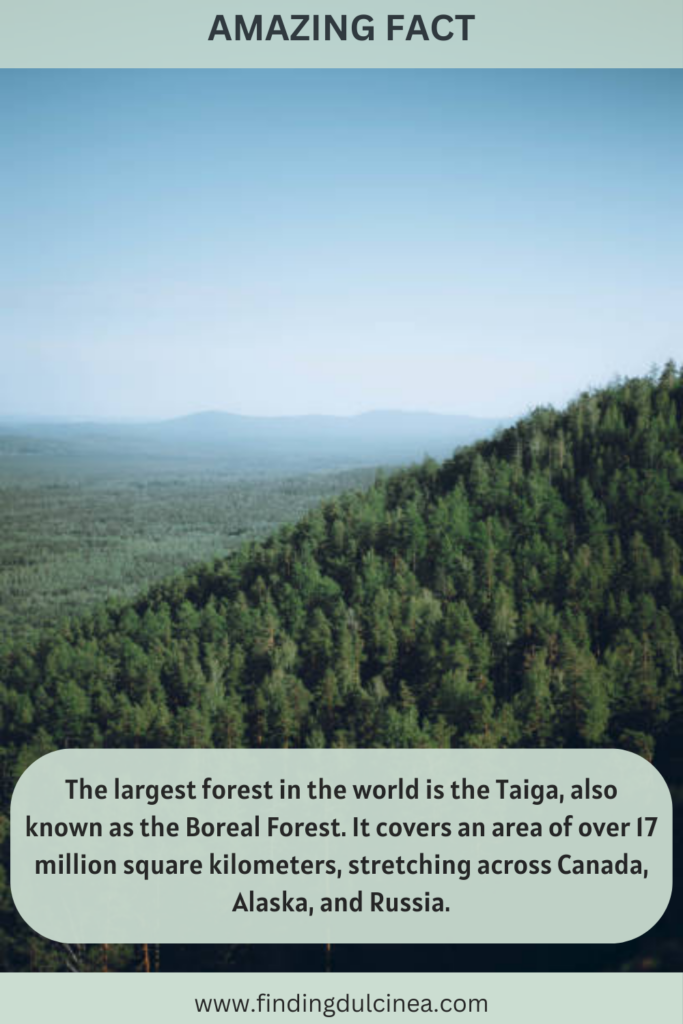Interesting World Facts: 20 Facts That Will Amaze You! 2 Interesting World Facts