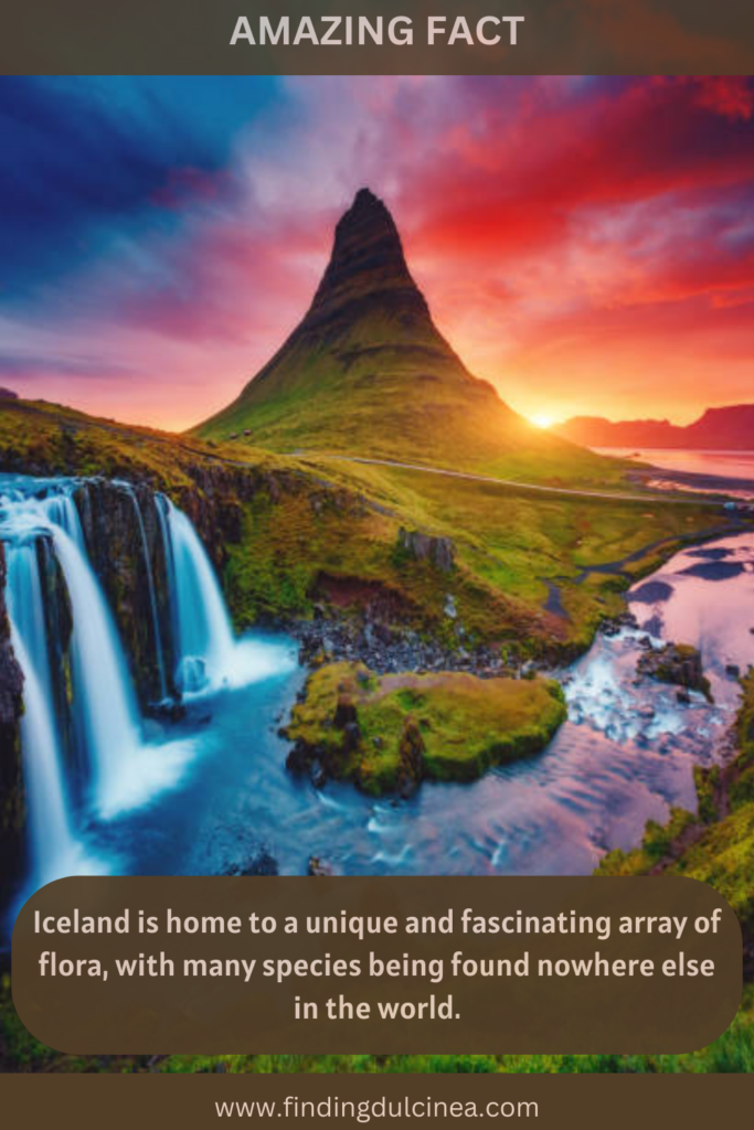 33 Surprising Iceland Facts That Will Impress You! 2 Iceland Facts