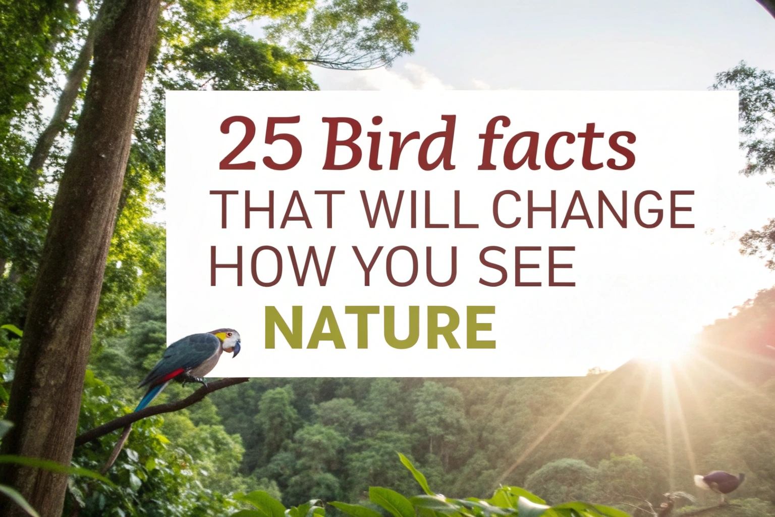 Bird Facts