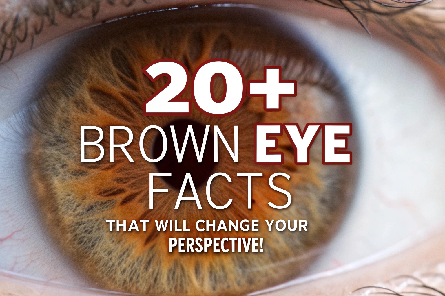 Brown Eye Facts