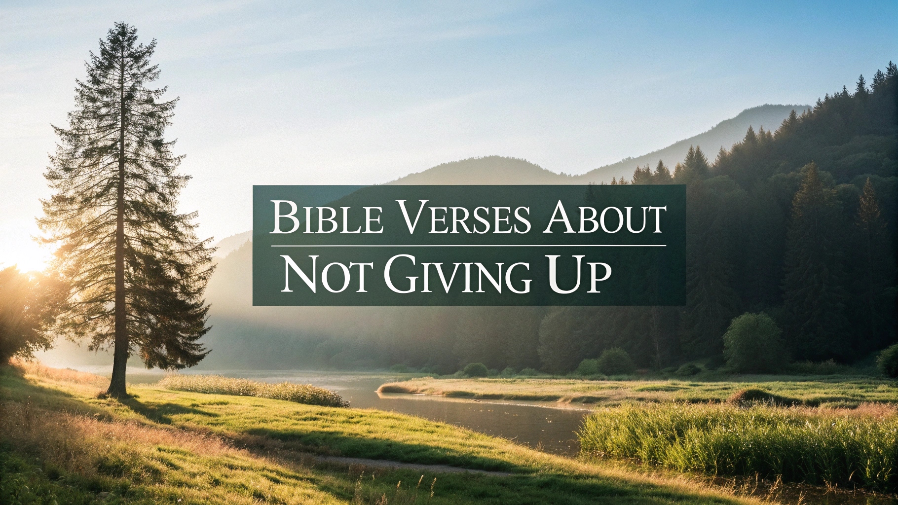 Bible Verses About Not Giving Up