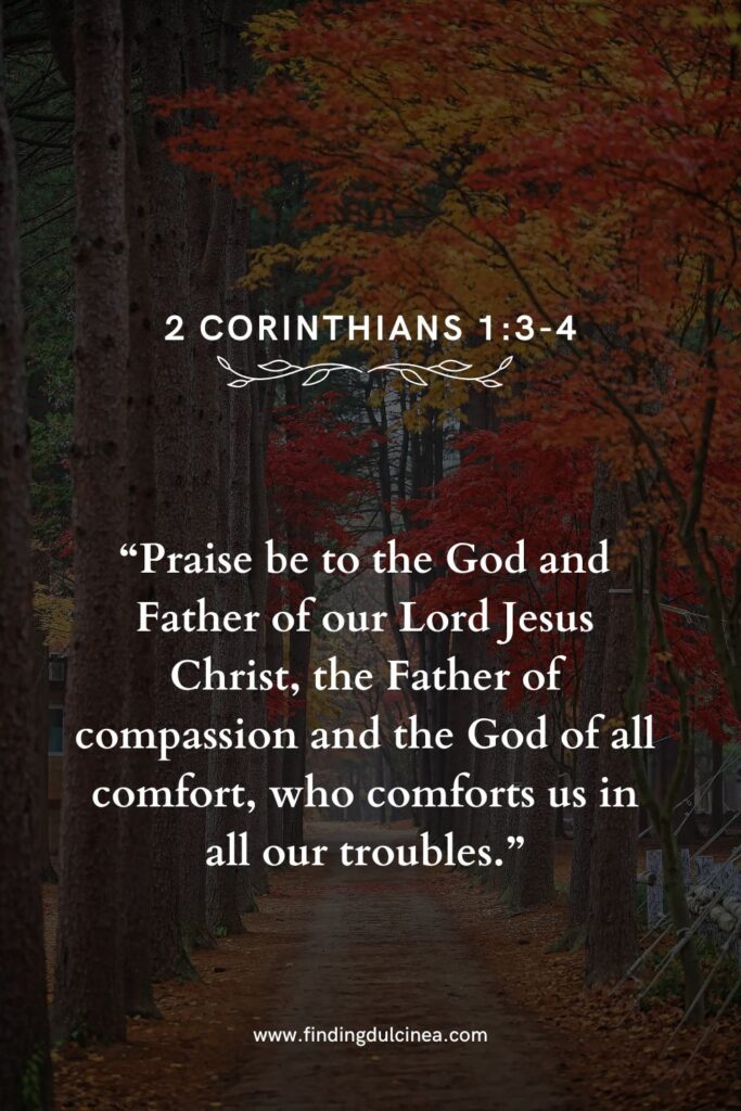 Bible Verses That Celebrate Everyday Blessings