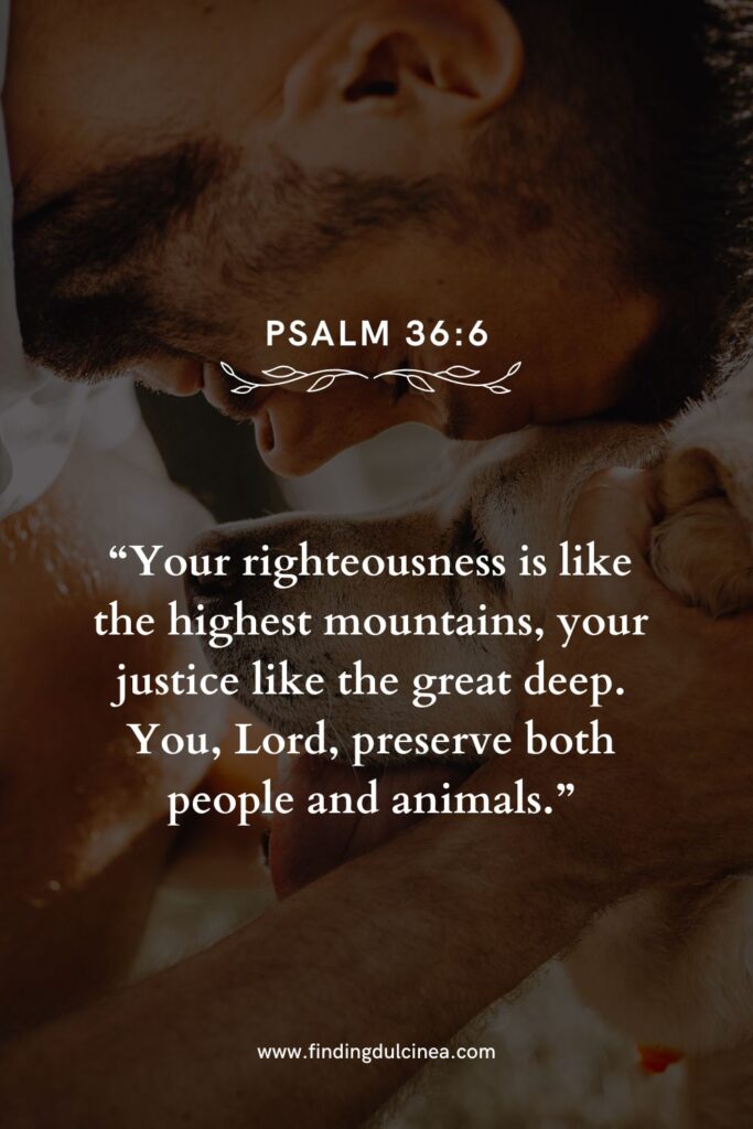Bible Verses for Animal Lovers and Pet Companions